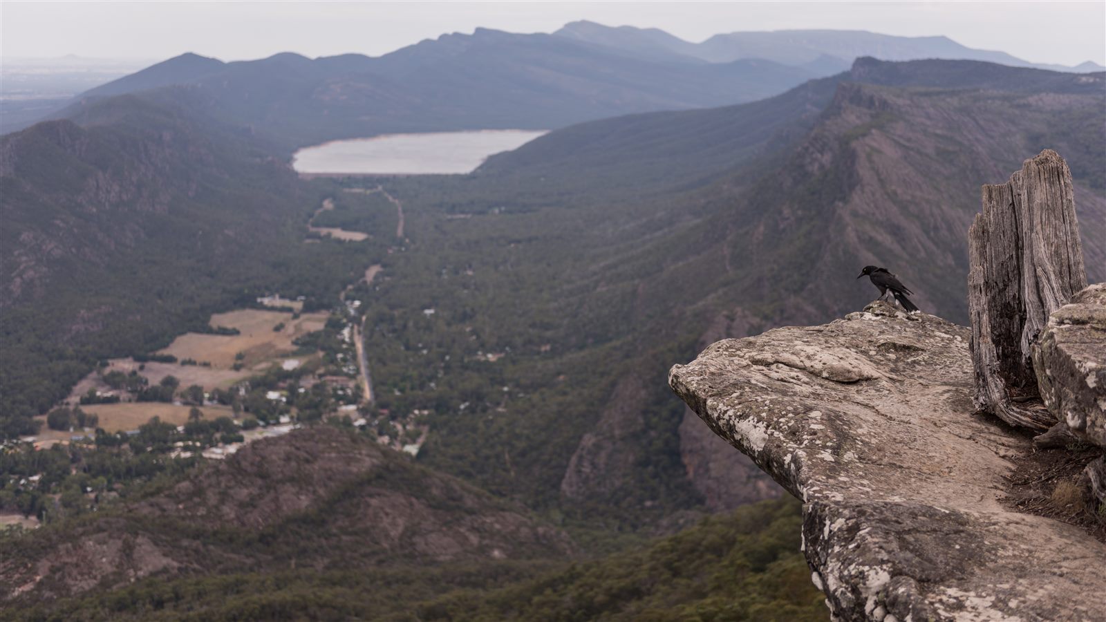 グランピアンズ ボロカルックアウト