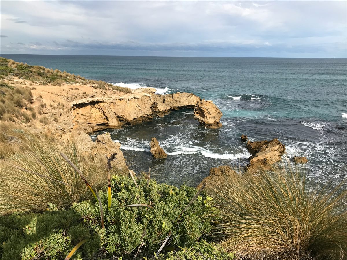 モーニントン半島 海岸線